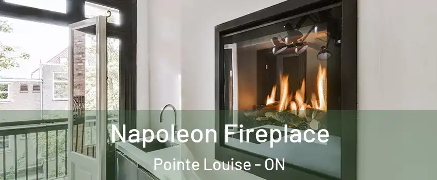  Napoleon Fireplace Pointe Louise - ON