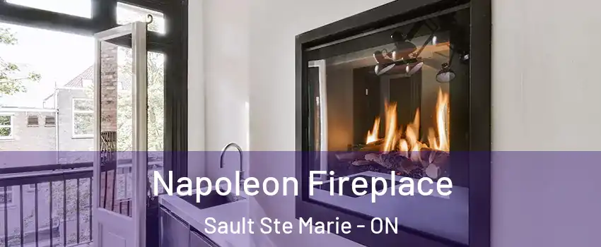  Napoleon Fireplace Sault Ste Marie - ON