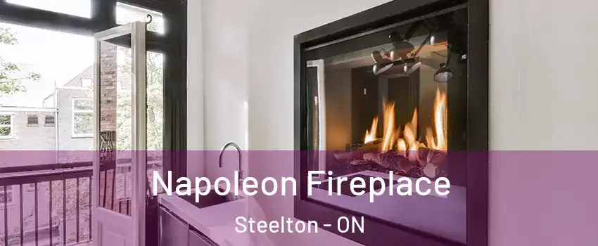  Napoleon Fireplace Steelton - ON