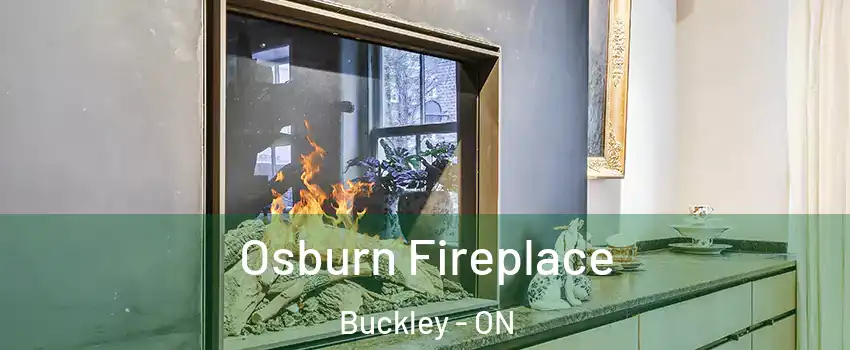  Osburn Fireplace Buckley - ON