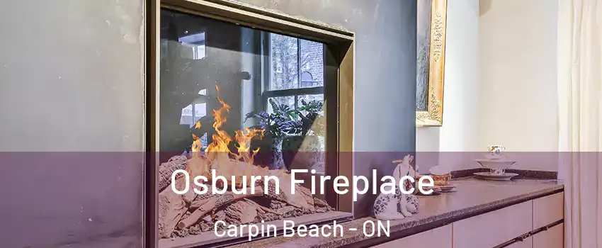  Osburn Fireplace Carpin Beach - ON