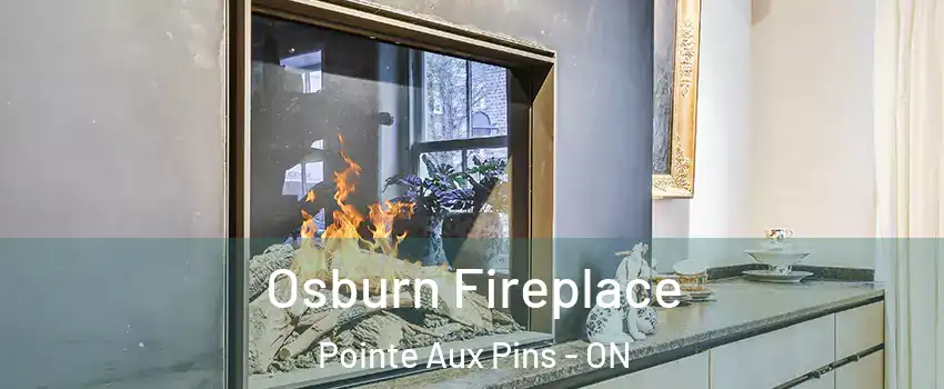  Osburn Fireplace Pointe Aux Pins - ON