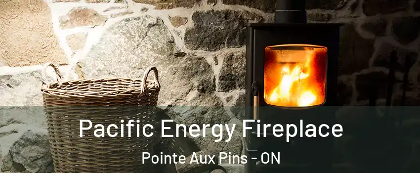  Pacific Energy Fireplace Pointe Aux Pins - ON