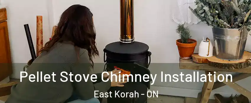  Pellet Stove Chimney Installation East Korah - ON