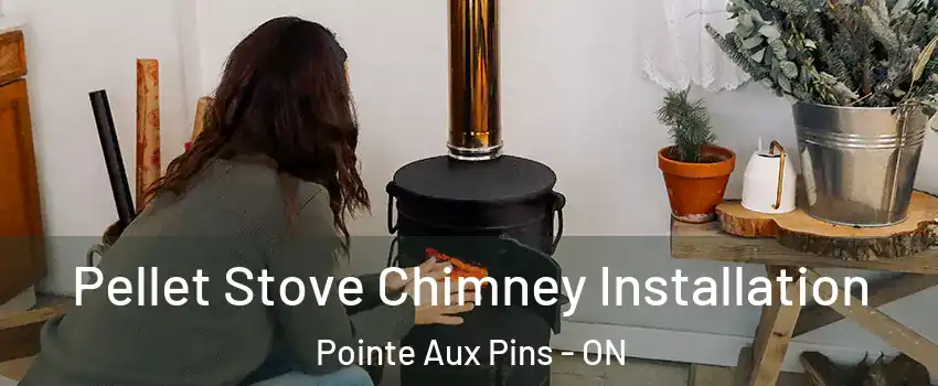  Pellet Stove Chimney Installation Pointe Aux Pins - ON