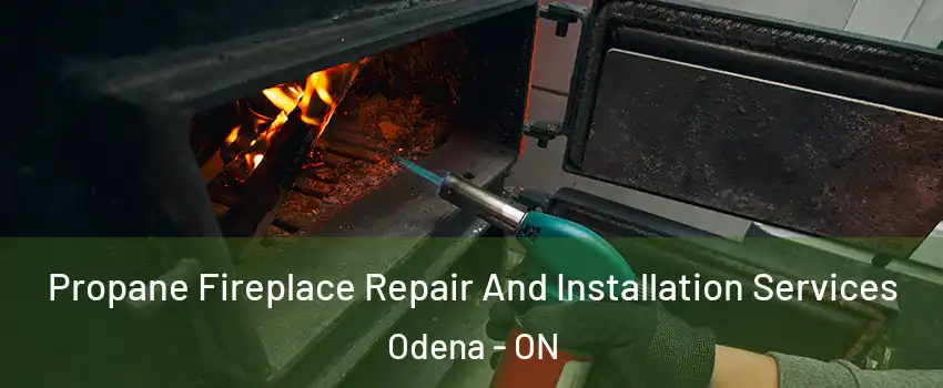  Propane Fireplace Repair And Installation Services Odena - ON