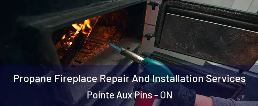  Propane Fireplace Repair And Installation Services Pointe Aux Pins - ON