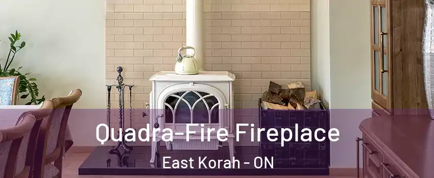  Quadra-Fire Fireplace East Korah - ON