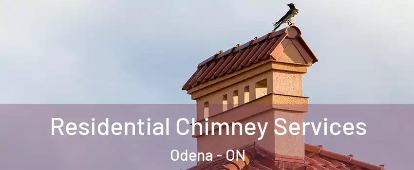  Residential Chimney Services Odena - ON