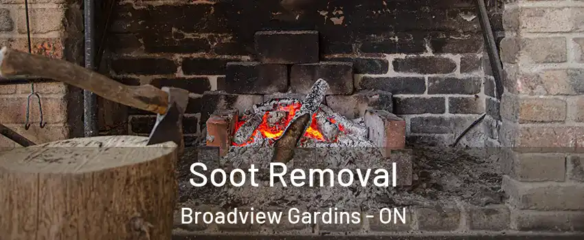 Soot Removal Broadview Gardins - ON