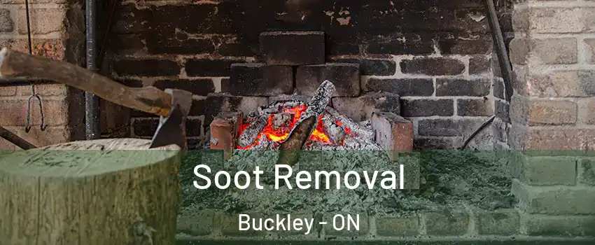  Soot Removal Buckley - ON