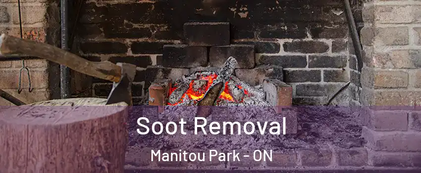  Soot Removal Manitou Park - ON