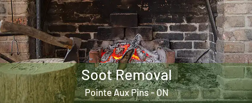  Soot Removal Pointe Aux Pins - ON
