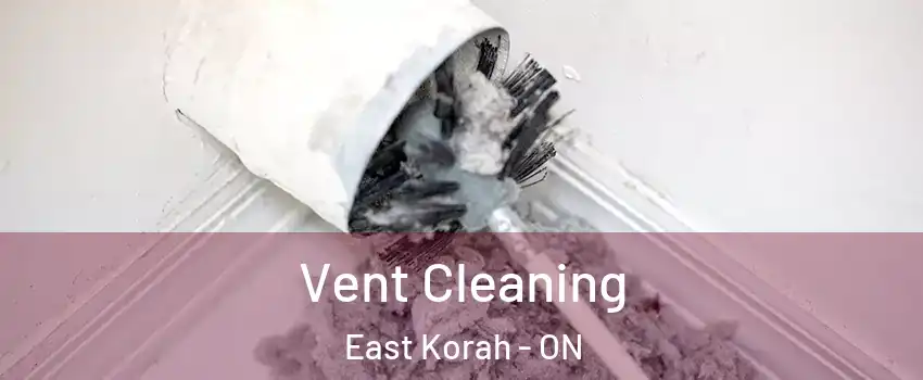  Vent Cleaning East Korah - ON