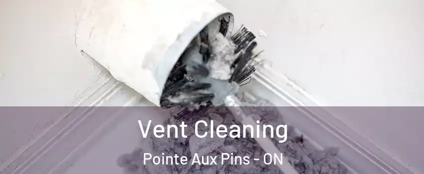  Vent Cleaning Pointe Aux Pins - ON