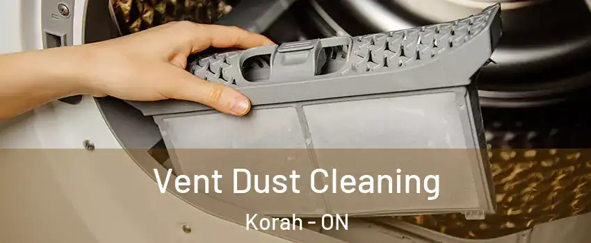  Vent Dust Cleaning Korah - ON