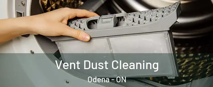  Vent Dust Cleaning Odena - ON