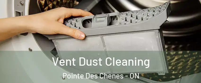  Vent Dust Cleaning Pointe Des Chenes - ON