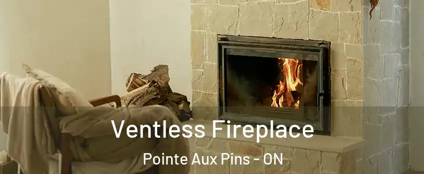 Ventless Fireplace Pointe Aux Pins - ON