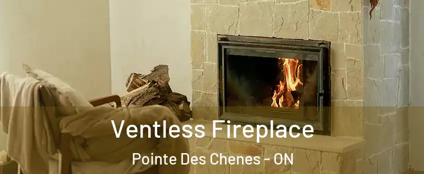  Ventless Fireplace Pointe Des Chenes - ON