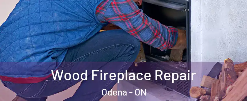  Wood Fireplace Repair Odena - ON