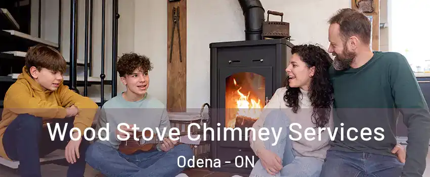  Wood Stove Chimney Services Odena - ON