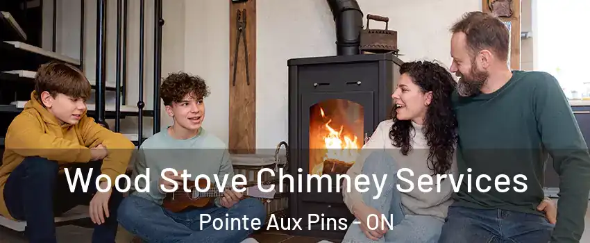  Wood Stove Chimney Services Pointe Aux Pins - ON