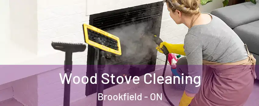  Wood Stove Cleaning Brookfield - ON