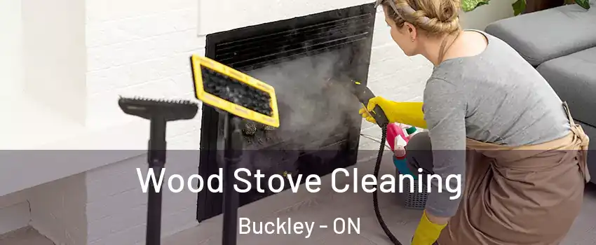 Wood Stove Cleaning Buckley - ON