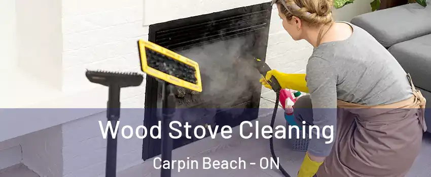  Wood Stove Cleaning Carpin Beach - ON