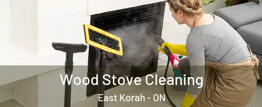  Wood Stove Cleaning East Korah - ON