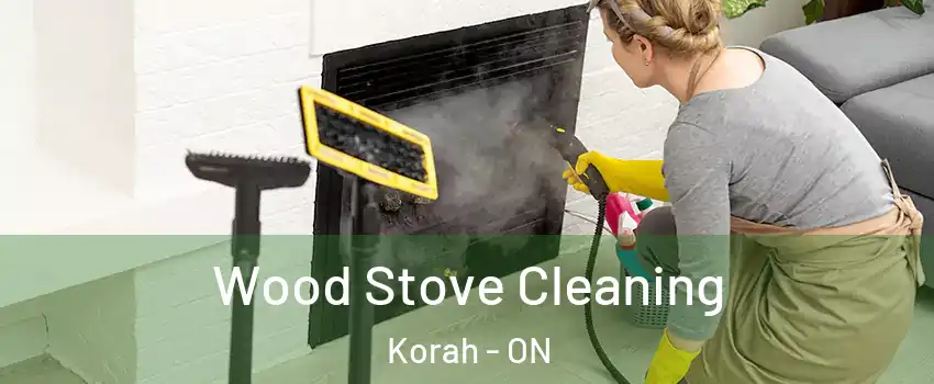  Wood Stove Cleaning Korah - ON