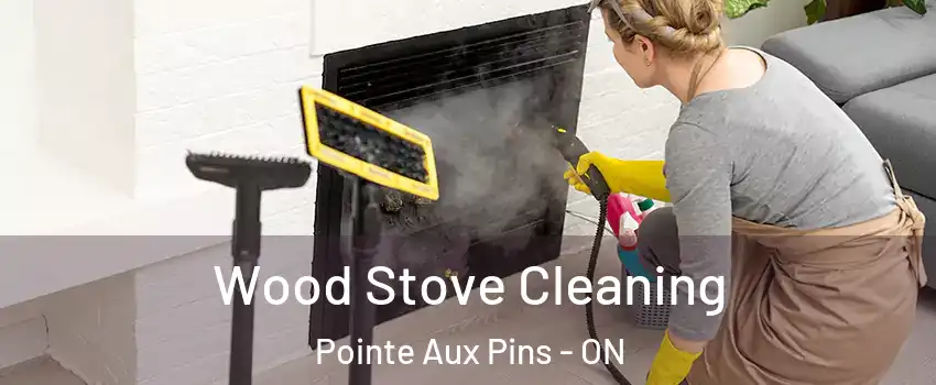  Wood Stove Cleaning Pointe Aux Pins - ON
