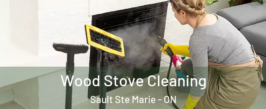  Wood Stove Cleaning Sault Ste Marie - ON
