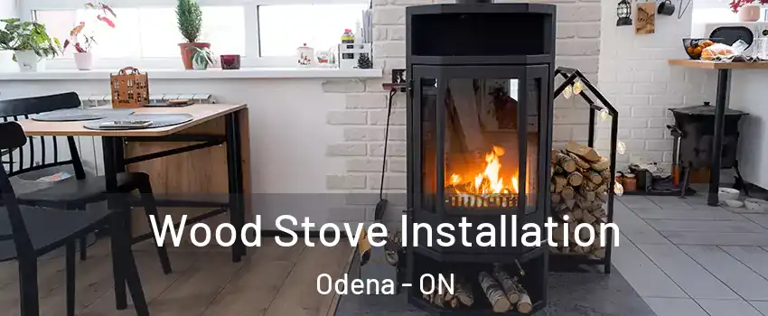  Wood Stove Installation Odena - ON
